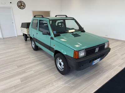 Fiat Panda 1.100ie Trekking Oro usata Ausonia