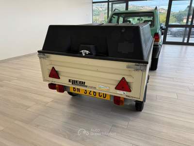 Fiat Panda 1.100ie Trekking Oro usata Ausonia