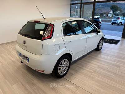 Fiat Punto Lounge 1.3 MJT II S&S 85 CV 5 porte ECO Bianco usata Ausonia
