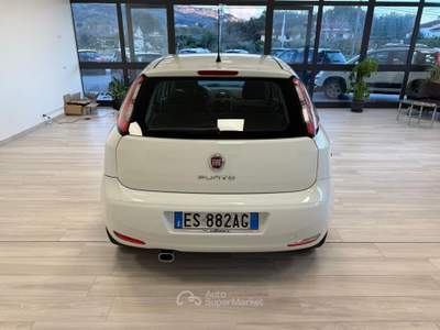 Fiat Punto Lounge 1.3 MJT II S&S 85 CV 5 porte ECO Bianco usata Ausonia
