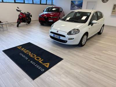 Fiat Punto Lounge 1.3 MJT II S&S 85 CV 5 porte ECO Bianco usata Ausonia