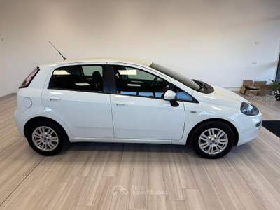 Fiat Punto Lounge 1.3 MJT II S&S 85 CV 5 porte ECO Bianco usata Ausonia