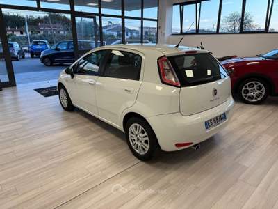 Fiat Punto Lounge 1.3 MJT II S&S 85 CV 5 porte ECO Bianco usata Ausonia