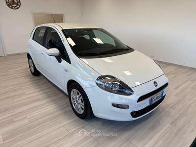 Fiat Punto Lounge 1.3 MJT II S&S 85 CV 5 porte ECO Bianco usata Ausonia