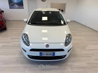 Fiat Punto Lounge 1.3 MJT II S&S 85 CV 5 porte ECO Bianco usata Ausonia