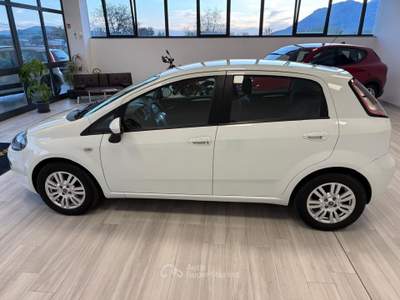 Fiat Punto Lounge 1.3 MJT II S&S 85 CV 5 porte ECO Bianco usata Ausonia