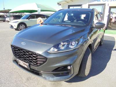 Ford Kuga 1.5 EcoBlue 120 CV 2WD ST-Line X Automatica Grigio usata Guidonia Montecelio