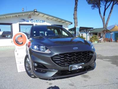 Ford Kuga 1.5 EcoBlue 120 CV 2WD ST-Line X Automatica Grigio usata Guidonia Montecelio