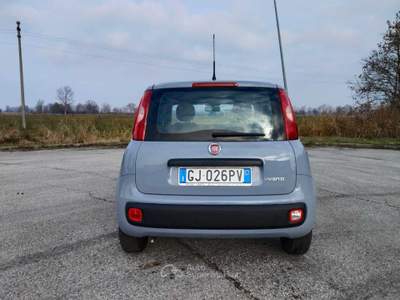 Fiat Panda FIAT PANDA HYBRID Blu/Azzurro usata Azzano Decimo