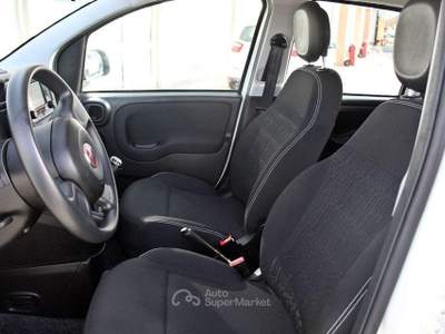 Fiat Panda 1.0 FireFly S&S Hybrid Bianco usata Padula
