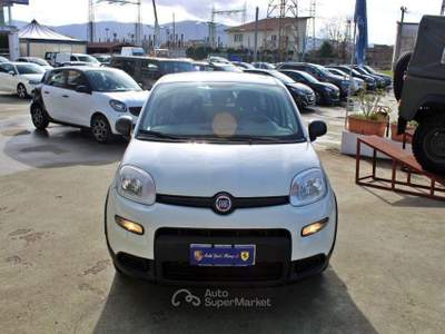 Fiat Panda 1.0 FireFly S&S Hybrid Bianco usata Padula