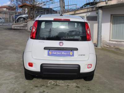 Fiat Panda 1.0 FireFly S&S Hybrid Bianco usata Padula
