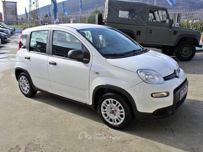 Fiat Panda 1.0 FireFly S&S Hybrid Bianco usata Padula