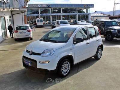Fiat Panda 1.0 FireFly S&S Hybrid Bianco usata Padula