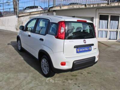 Fiat Panda 1.0 FireFly S&S Hybrid Bianco usata Padula
