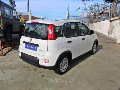 Fiat Panda 1.0 FireFly S&S Hybrid Bianco usata Padula