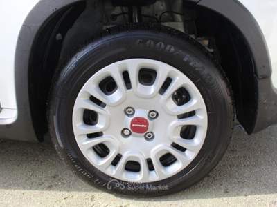 Fiat Panda 1.0 FireFly S&S Hybrid Bianco usata Padula