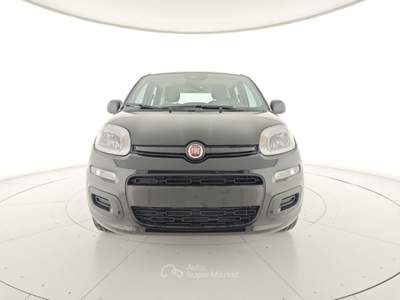 Fiat Panda 1.0 FireFly S&S Hybrid Nero usata CASTELDACCIA