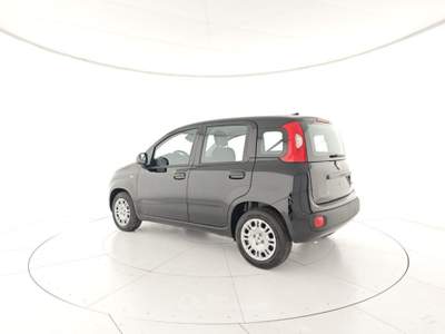 Fiat Panda 1.0 FireFly S&S Hybrid Nero usata CASTELDACCIA