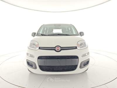 Fiat Panda 1.0 FireFly S&S Hybrid Bianco usata CASTELDACCIA