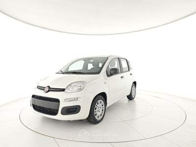 Fiat Panda 1.0 FireFly S&S Hybrid Bianco usata CASTELDACCIA