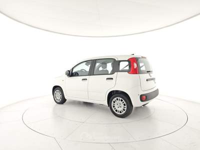 Fiat Panda 1.0 FireFly S&S Hybrid Bianco usata CASTELDACCIA