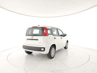 Fiat Panda 1.0 FireFly S&S Hybrid Bianco usata CASTELDACCIA