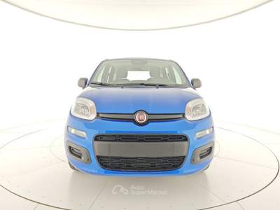Fiat Panda 1.0 FireFly S&S Hybrid Blu/Azzurro usata CASTELDACCIA