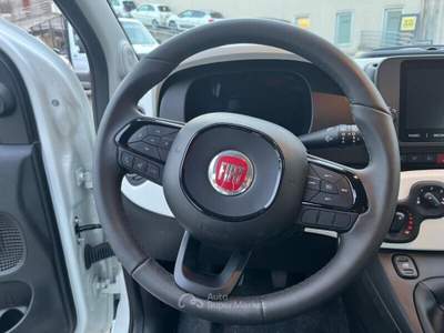 Fiat Panda Panda Cross 1.0 FireFly S&S Hybrid Verde usata Bisuschio
