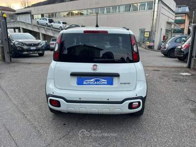 Fiat Panda Panda Cross 1.0 FireFly S&S Hybrid Verde usata Bisuschio
