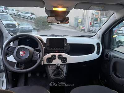 Fiat Panda Panda Cross 1.0 FireFly S&S Hybrid Verde usata Bisuschio