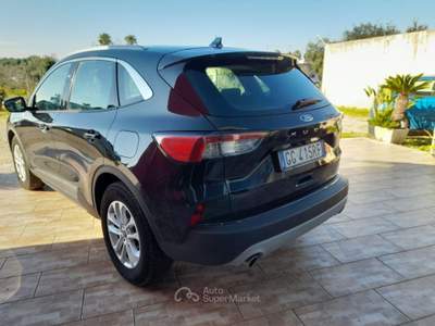 Ford Kuga 1.5 TDCI 120 CV S&S 2WD Titan. Bus. usata Caprarica di Lecce