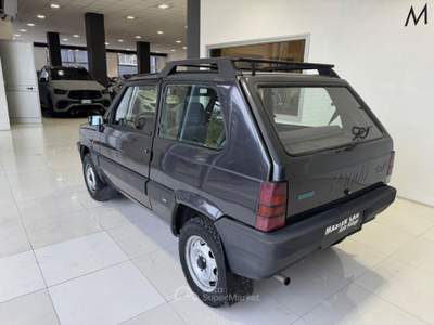 Fiat Panda 1100 i.e. 4x4 Trekking Grigio usata Ripalimosani
