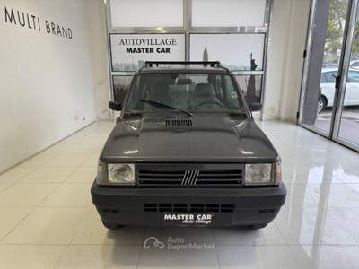 Fiat Panda 1100 i.e. 4x4 Trekking Grigio usata Ripalimosani