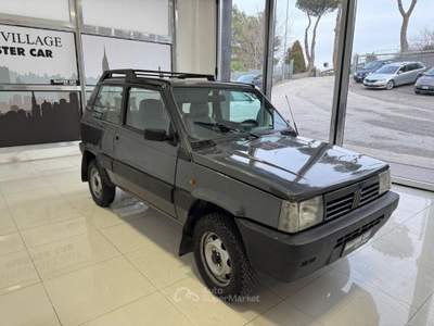 Fiat Panda 1100 i.e. 4x4 Trekking Grigio usata Ripalimosani