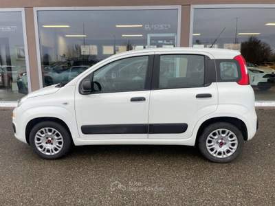 Fiat Panda 1.2 Pop Bianco usata Scandiano