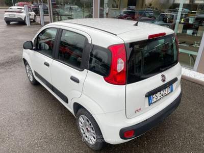 Fiat Panda 1.2 Pop Bianco usata Scandiano