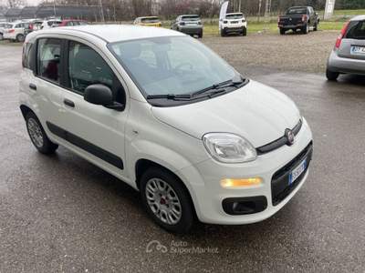 Fiat Panda 1.2 Pop Bianco usata Scandiano