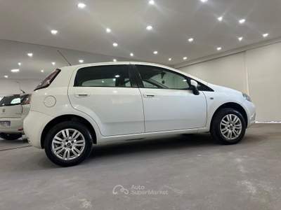 Fiat Punto Unico proprietario , veicolo non fumatore Bianco usata Casal di Principe