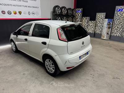 Fiat Punto Evo Fiat Punto EVO 1.4 Benzina GPL Adatta Neopatentati Bianco usata Annicco