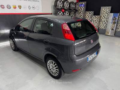 Fiat Punto Fiat Punto 1.2 Benzina ADATTA NEOPATENTATI Grigio usata Annicco