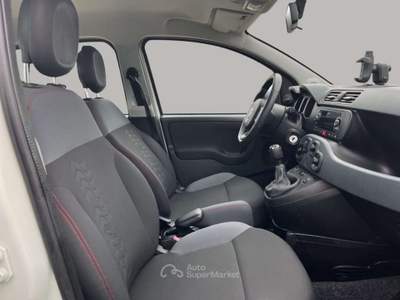 Fiat Panda 1.3Mjt Autocarro N1 Bianco usata San Miniato