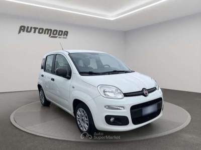 Fiat Panda 1.3Mjt Autocarro N1 Bianco usata San Miniato
