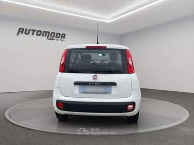 Fiat Panda 1.3Mjt Autocarro N1 Bianco usata San Miniato