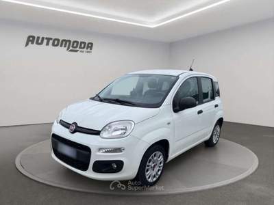 Fiat Panda 1.3Mjt Autocarro N1 Bianco usata San Miniato