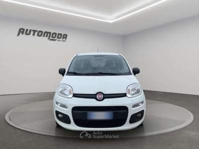 Fiat Panda 1.3Mjt Autocarro N1 Bianco usata San Miniato