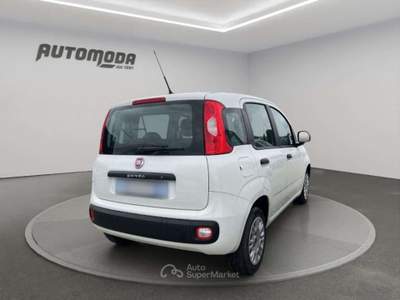 Fiat Panda 1.3Mjt Autocarro N1 Bianco usata San Miniato