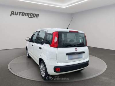 Fiat Panda 1.3Mjt Autocarro N1 Bianco usata San Miniato