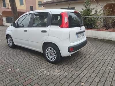 Fiat Panda FireFly S&S Hybrid City Life Bianco usata Nonantola
