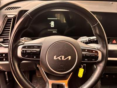 Kia Sportage Sportage 1.6 CRDI 136 CV 2WD Mild Hybrid Business Class Argento usata Grottammare